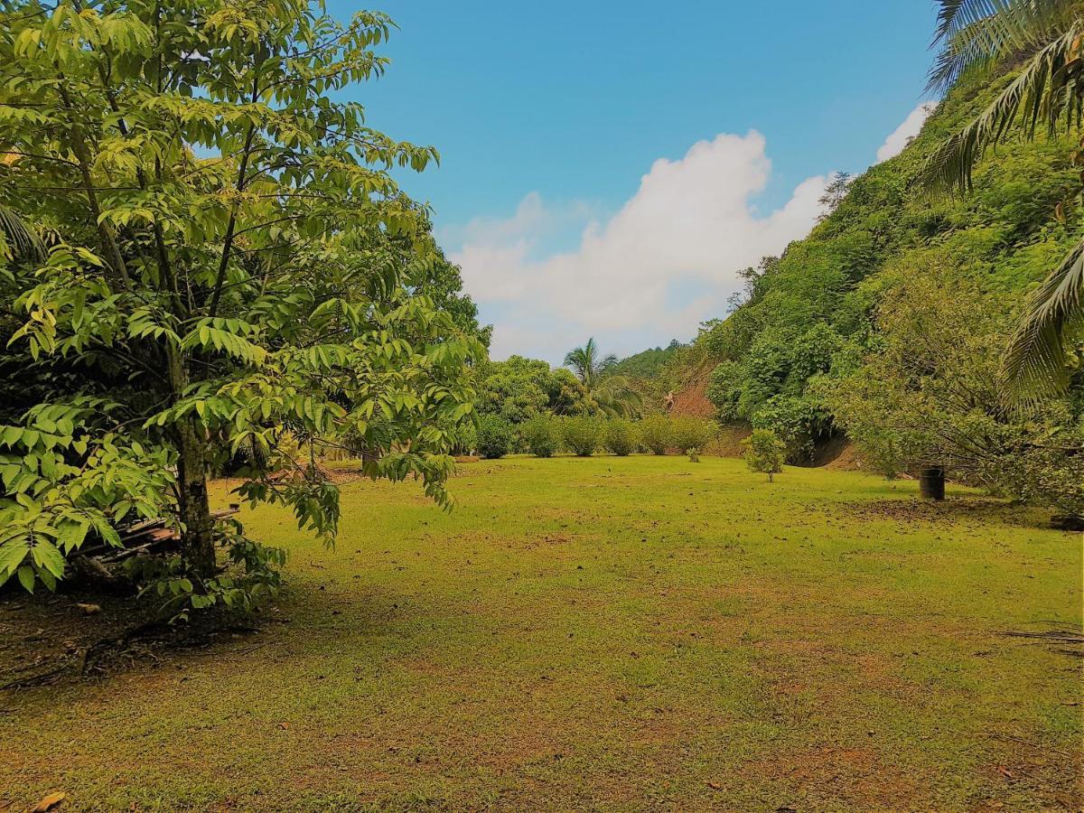 Huahine - Tipanier House Villa Haapu Eksteriør bilde